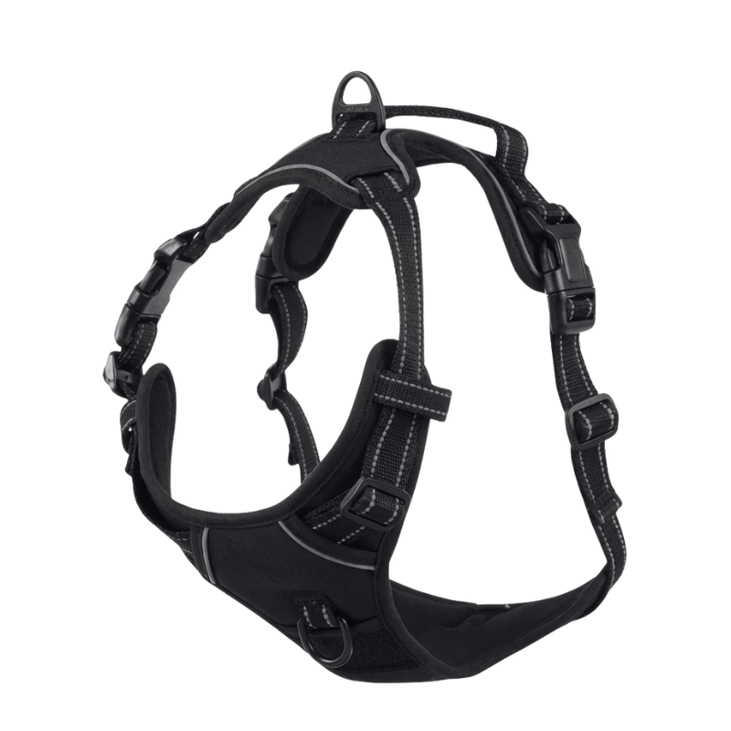 EasyLeash™