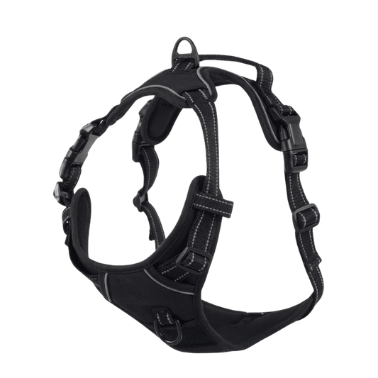 EasyLeash™