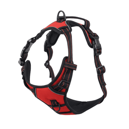 EasyLeash™