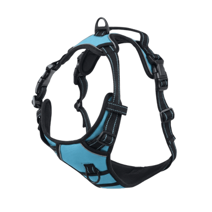 EasyLeash™