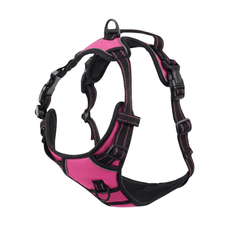 EasyLeash™