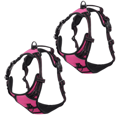 EasyLeash™