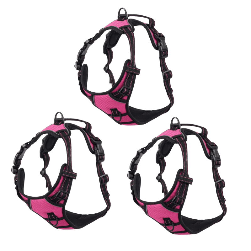 EasyLeash™
