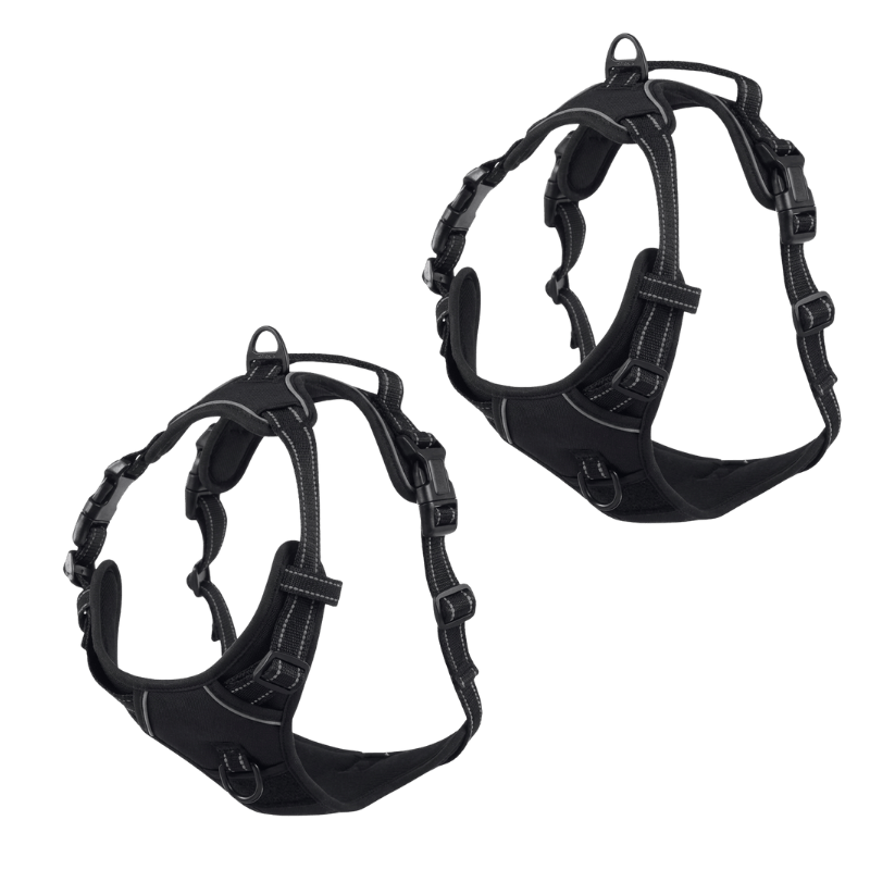 EasyLeash™