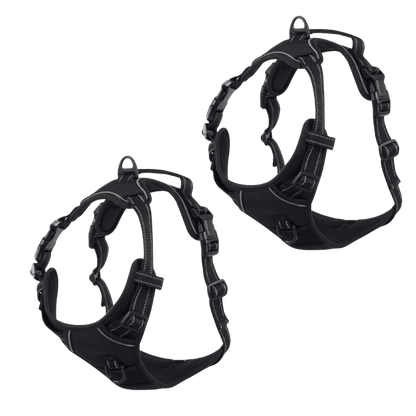 EasyLeash™