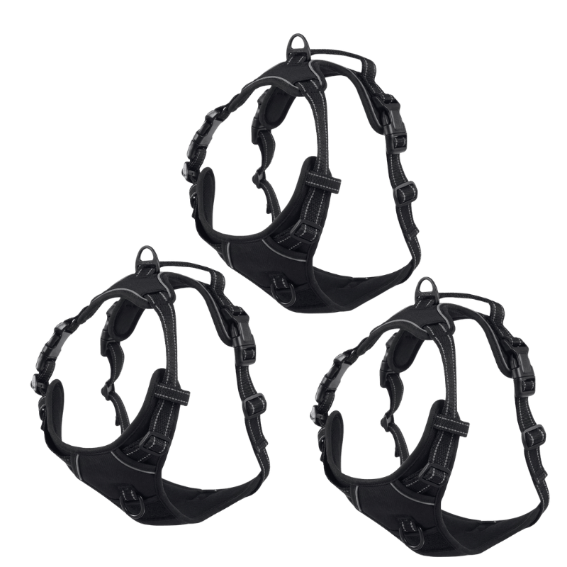 EasyLeash™
