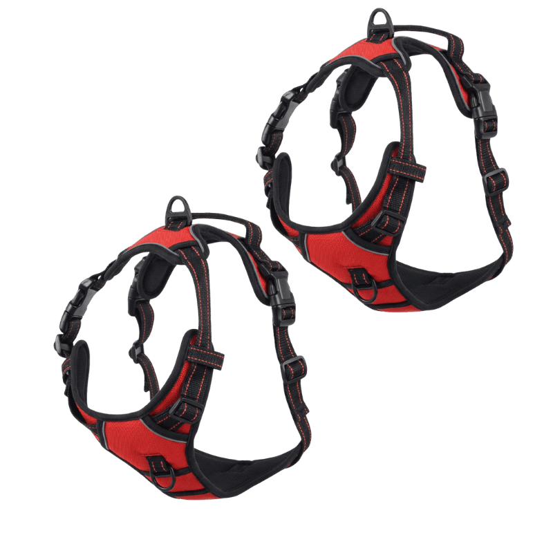 EasyLeash™