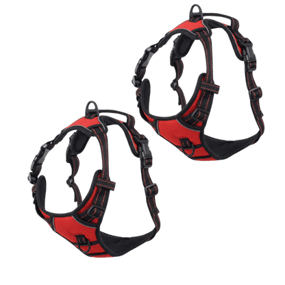 EasyLeash™
