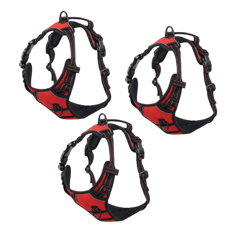 EasyLeash™