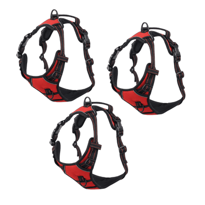 EasyLeash™