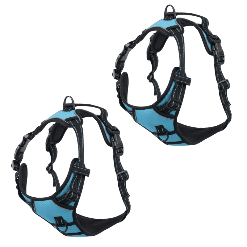 EasyLeash™