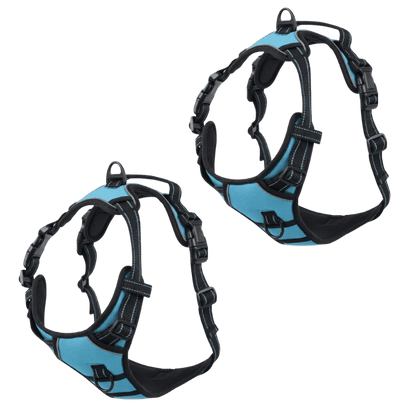 EasyLeash™