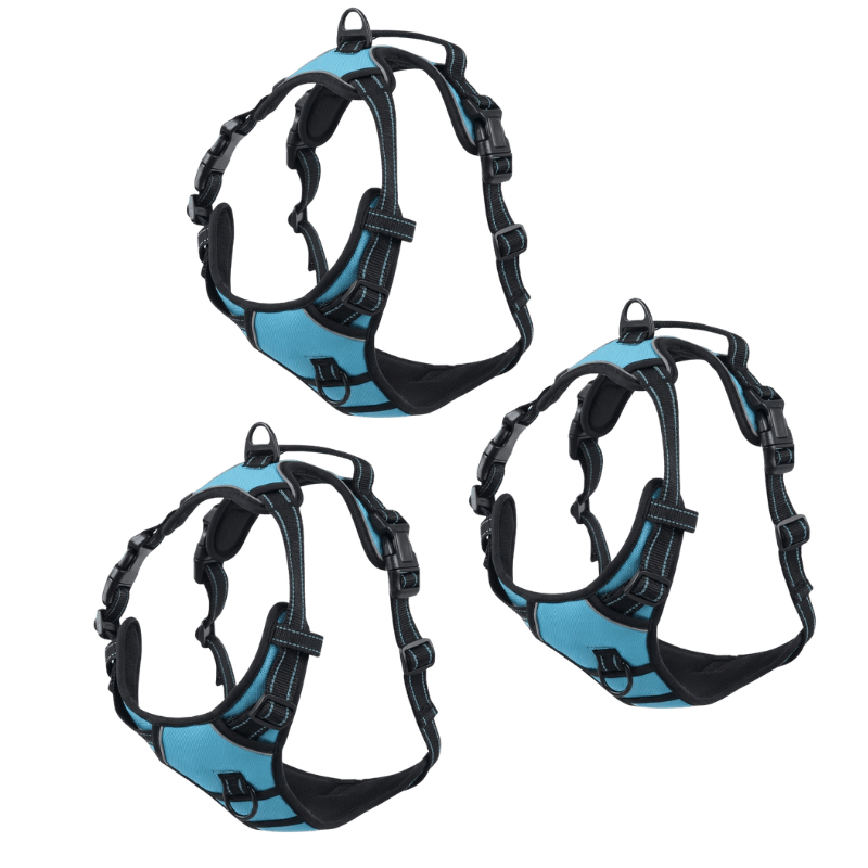 EasyLeash™