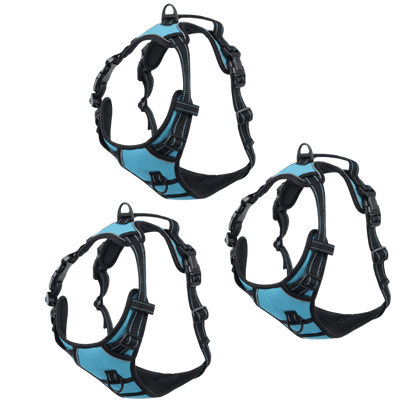 EasyLeash™